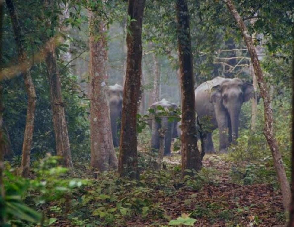 Tour Destination Image