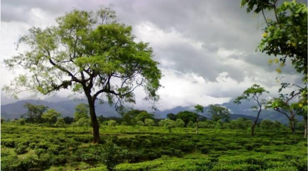 Tour Destination Image