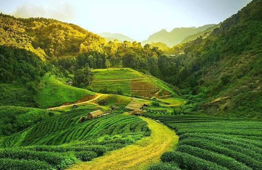 Tour Destination Image