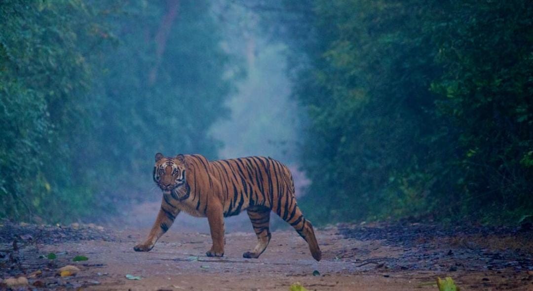 Tour Destination Image