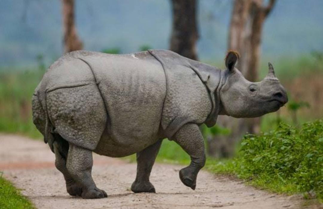 Tour Destination Image