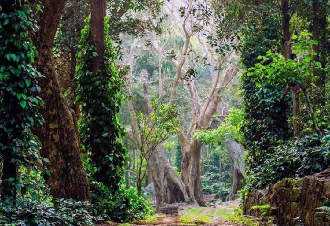 Tour Destination Image